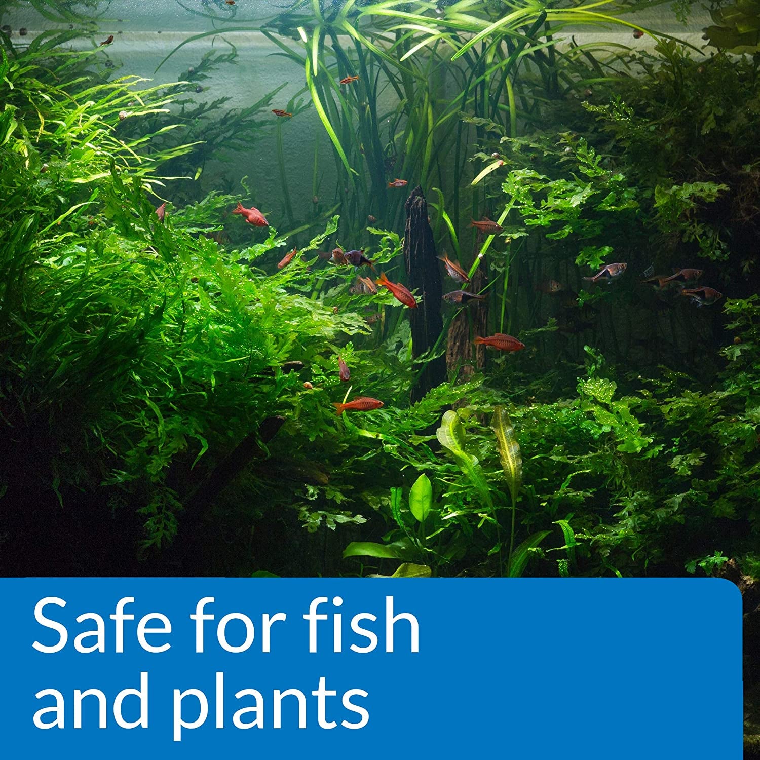 pH Up Freshwater Aquarium pH Raising Solution - 16 oz Bottle