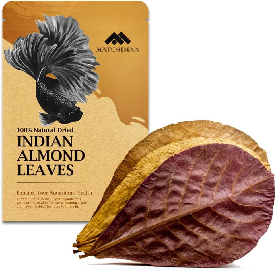 Premium Indian Almond Leaves for Aquatic Environments - pH Balance and Health Enhancement for Turtles, Frogs, Shrimp, Hermit Crabs, and Betta Fish. 50g Pack (6-9 inches, 20-25 Leaves)