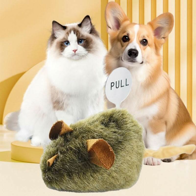 Cat and Dog Toys - Cat Toy Mouse Simulation Sound to Amuse Cats and Relieve Boredom Pet Supplies Cats to Consume Physical Strength and Bite and Chew Mice_1