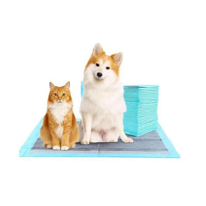 Super-Absorbent Waterproof Dog & Cat and Puppy Pet Training Pad, Housebreaking Pet Pad, 100-Count Small-Size