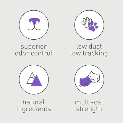 (3 Pack)  Clean Tracks Clumping Clay Cat Litter Unscented, 20 Lb Box
