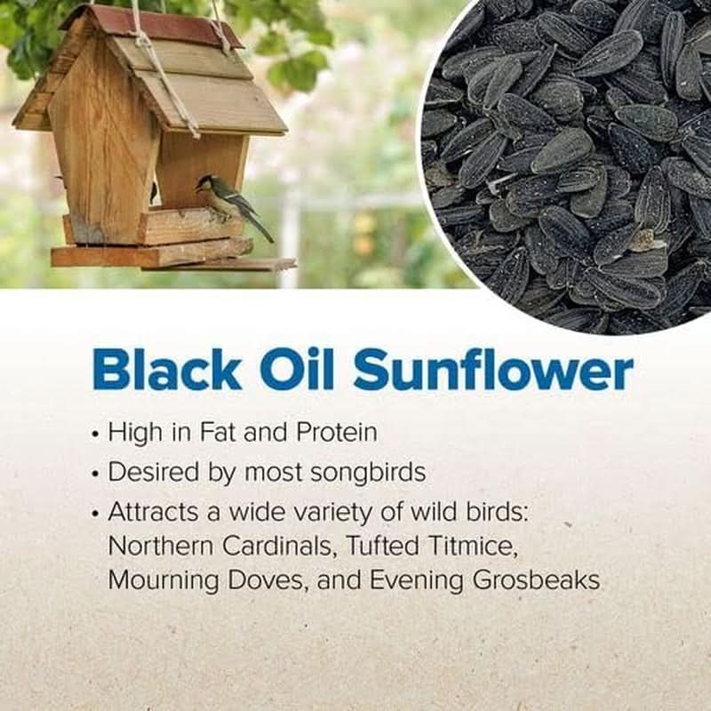Premium Black Oil Sunflower Wild Bird Seed - High Protein Blend for Attracting Cardinals, Doves, Woodpeckers, and More - Shell-Free Mix for Outdoor Feeders - Made in the USA - 4 Pound Bag