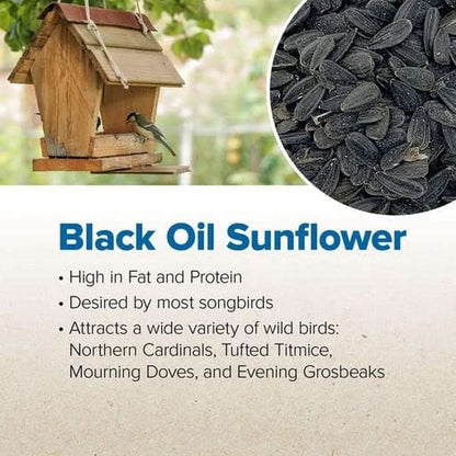 Premium Black Oil Sunflower Wild Bird Seed - High Protein Blend for Attracting Cardinals, Doves, Woodpeckers, and More - Shell-Free Mix for Outdoor Feeders - Made in the USA - 4 Pound Bag