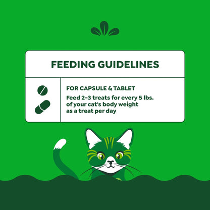 Feline  Pill Pockets Natural Cat Treats, Salmon Flavor, 1.6 Oz. Pack (45 Treats)