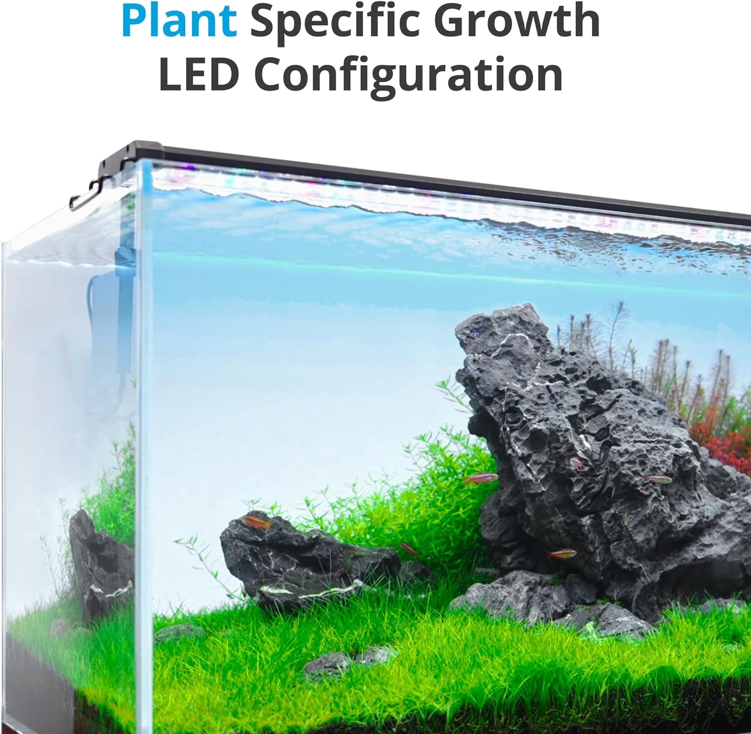 ClassicLED Plus Aquarium Light with Timer, 32 Watts, Suitable for 48 to 54 Inch Tanks, Daylight and Moonlight Cycle