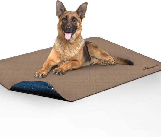 Washable Dog Pee Pads - Leakproof, Non-Slip, Reusable Potty Training Mat (48x60 Inch, Single Pack)