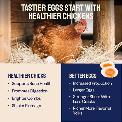 Black Soldier Fly Larvae Dry Chicken Feed for Laying Hens, 5Lb. Bag