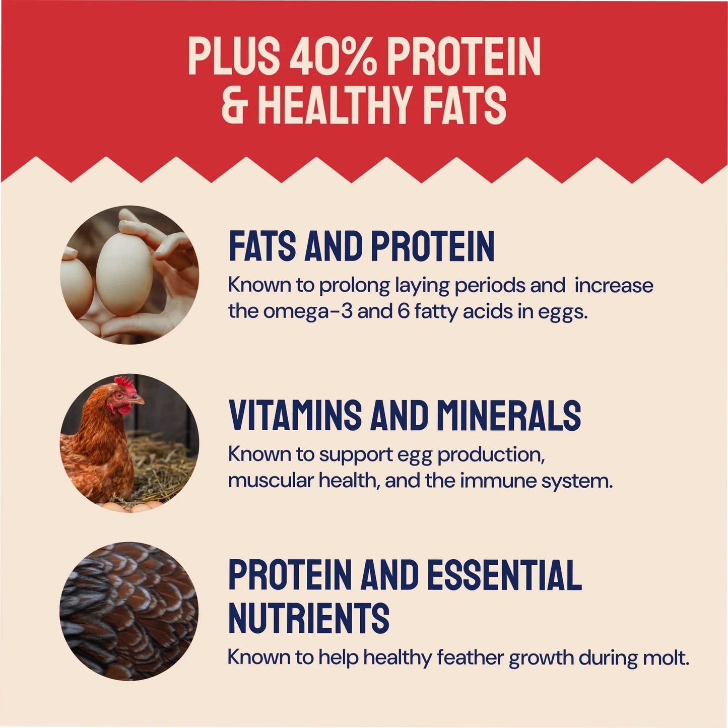 Black Soldier Fly Larvae Dry Chicken Feed for Laying Hens, 5Lb. Bag