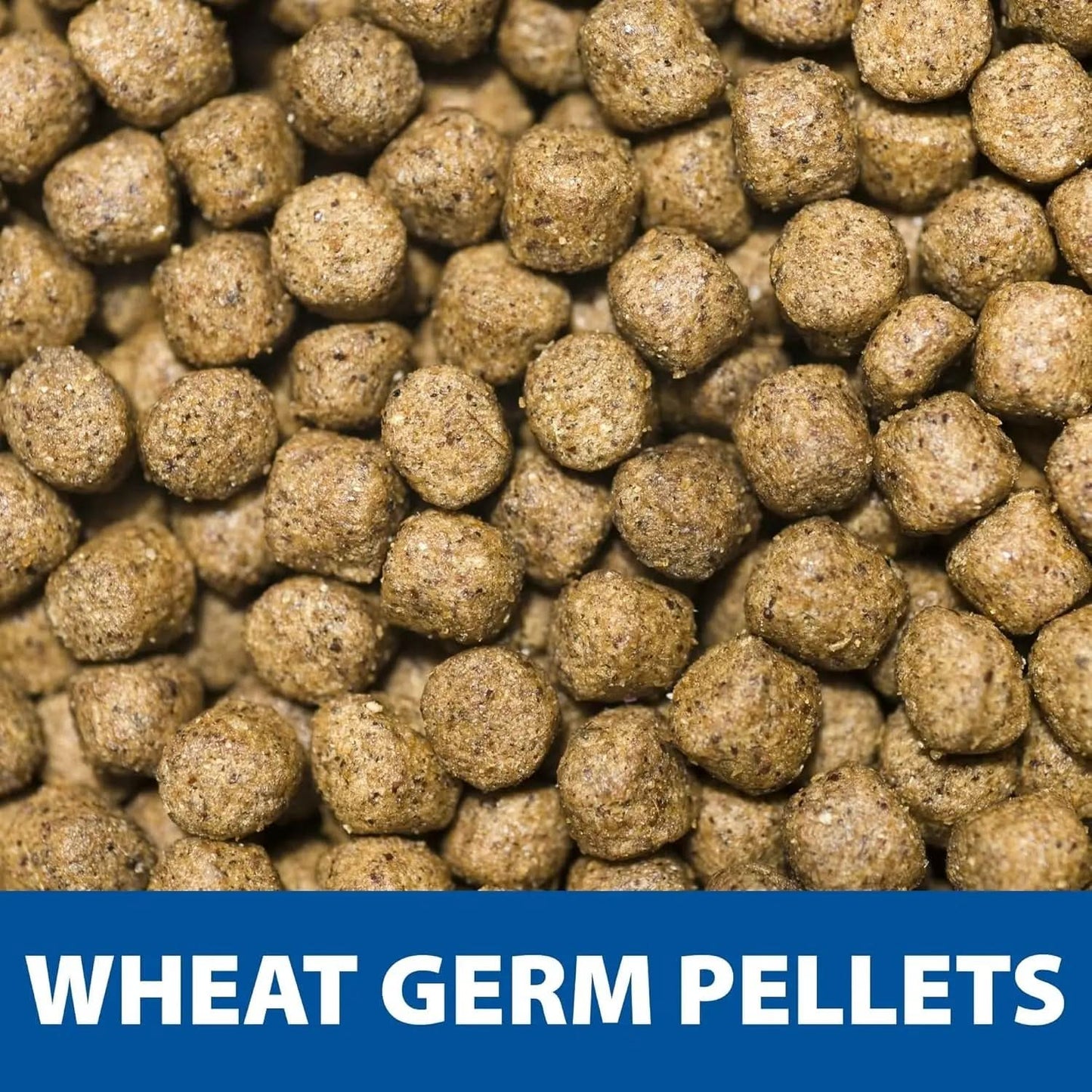 Pond Guy Premium Wheat Germ Fish Food for Koi and Goldfish, 5 lbs - Cold Weather Floating Pellets for Optimal Winter Nutrition