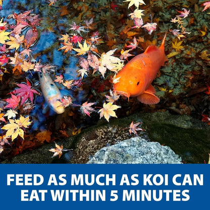 Pond Guy Premium Wheat Germ Fish Food for Koi and Goldfish, 5 lbs - Cold Weather Floating Pellets for Optimal Winter Nutrition
