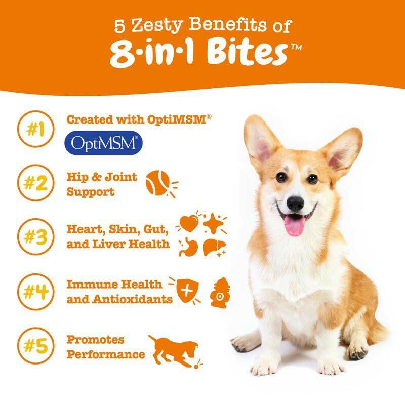 Zesty Paws 8-In-1 Chewable Multivitamin Bite for Dogs, Soft Chew Immune Support Dog Treats Supplement 8 in Dog Supplements