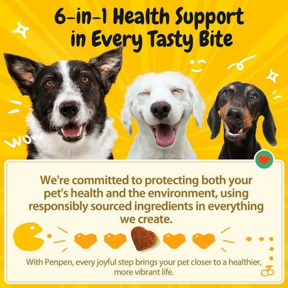 PENPEN Probiotics for Dogs - Multi-Probiotic & Enzyme Blend for Digestive Health, Eases Sensitive Stomachs (Beef Chews)