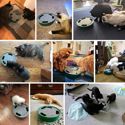 Interactive Cat Toy with Running Mouse - Automatic Electronic Teaser for Indoor Cats, Engaging Hide and Seek Play for Kittens and Adult Cats, Green