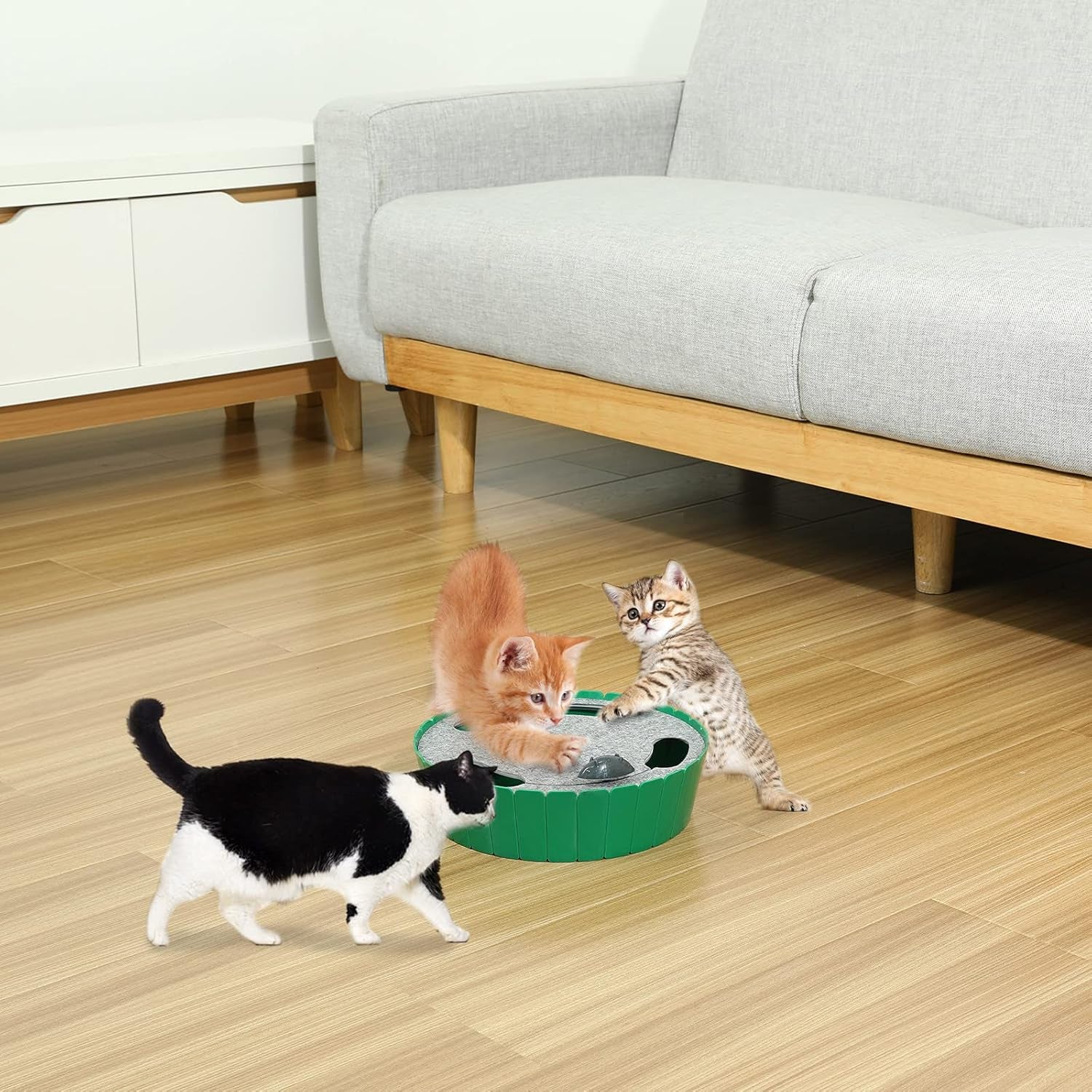 Interactive Cat Toy with Running Mouse - Automatic Electronic Teaser for Indoor Cats, Engaging Hide and Seek Play for Kittens and Adult Cats, Green