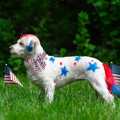 Patriotic Dog Collar with Bow Tie for 4th of July - American Flag Design for Medium Dogs - Comfortable Summer Collar with Metal Buckle