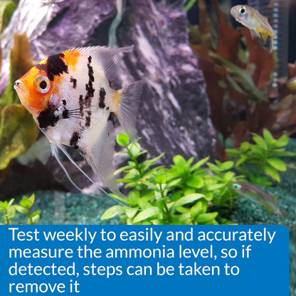 Ammonia 130-Test Kit for Freshwater and Saltwater Aquariums