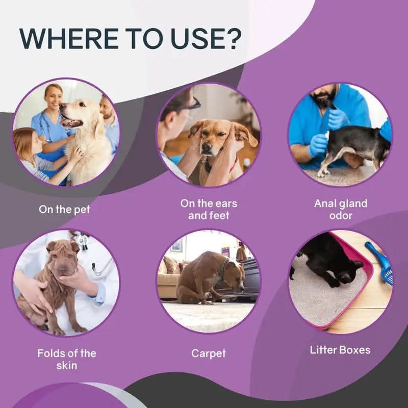 Essential Pet Care Kit: A.O.E. 8oz Spray and Apricot K.O.E. 16oz Concentrate (2 Pieces)