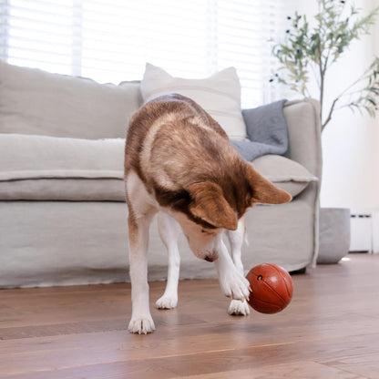 Planet Dog Basketball - Durable Treat-Dispensing Dog Ball, Interactive Fetch Toy, Orbee-Tuff Material, Mint Scented, BPA-Free, Suitable for Indoor and Outdoor Play, Brown