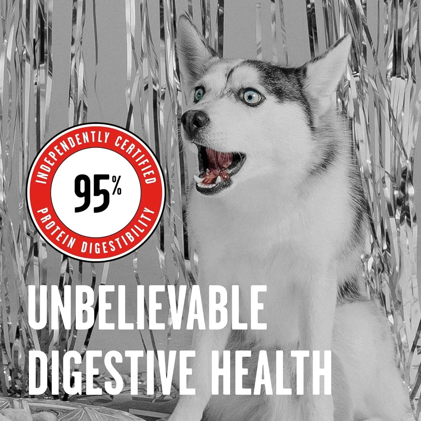 Rawbble Freeze-Dried Dog Food, Beef Recipe, 12 Oz - 98% Meat and Organs, No Fillers - Convenient Raw Dog Food for Meals, Treats, or Food Toppers - Made in the USA in Small Batches