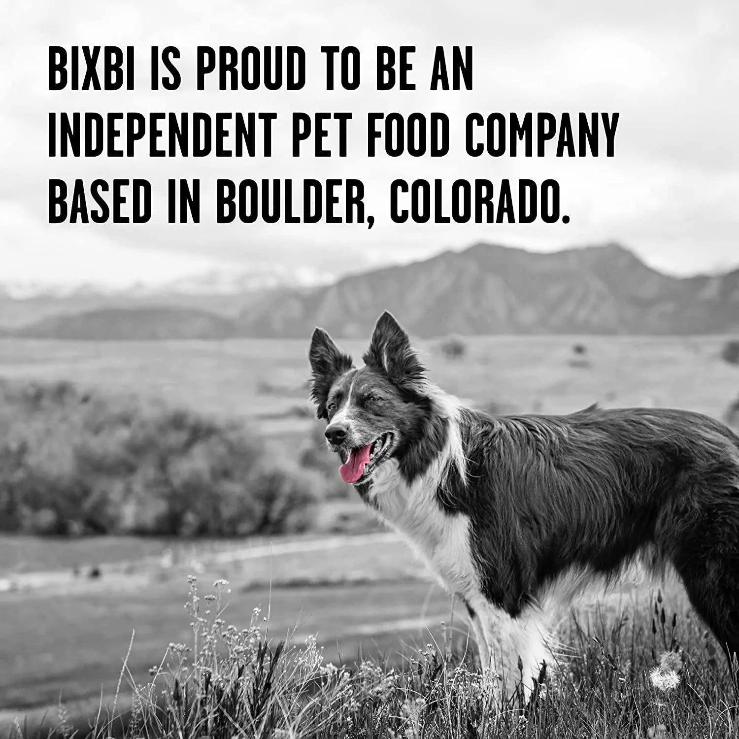 Rawbble Freeze-Dried Dog Food, Beef Recipe, 12 Oz - 98% Meat and Organs, No Fillers - Convenient Raw Dog Food for Meals, Treats, or Food Toppers - Made in the USA in Small Batches