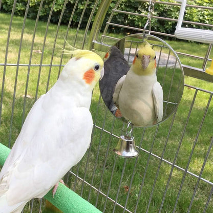Hanging Bird Mirror Toy with Bells for Parakeets, Cockatiels, Conures, Lovebirds, Finches, and Canaries - Engaging Cage Swing Play Accessory (Bird Mirror with 1 Bell)