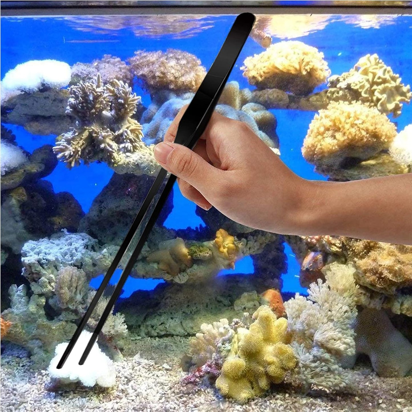4-in-1 Stainless Steel Aquascaping Tool Set for Aquatic Plants - Scissors, Tweezers, and Spatula for Aquarium Starter Kits (Black)
