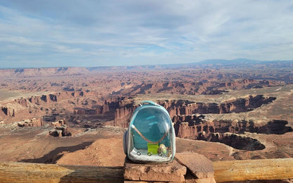 Premium Bird Travel Carrier, Transparent Space Capsule Backpack for Parakeets, Cockatiels, and Parrots with Metal Tray and Wood Perch, Ideal for Veterinary Transport and School Use