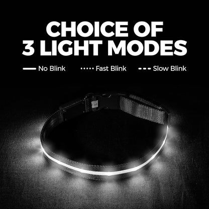 LED Dog Collar - Original Rechargeable Waterproof Design with 1,000 Feet Visibility - Suitable for Small, Medium, and Large Dogs - US Brand