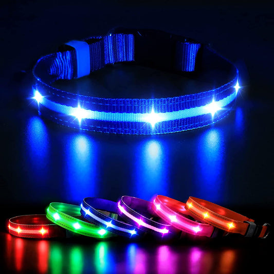 Rechargeable LED Dog Collar - Water-Resistant Lighted Collar for Night Walking and Safety