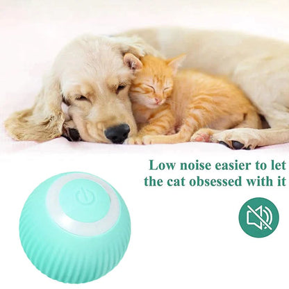 Smart Electric Dog and Cat Toy: Automatic Rolling Ball for Small Pets - Engaging Self-Moving Play Accessory