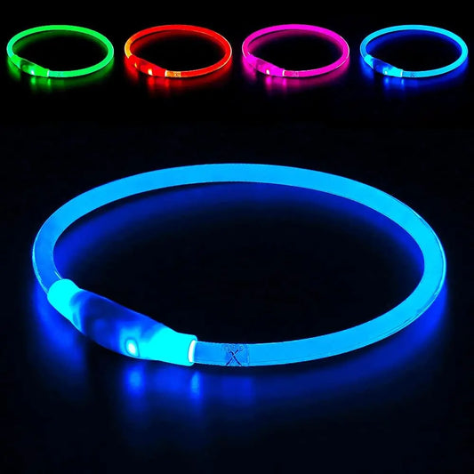 USB Rechargeable LED Dog Collar - Enhanced Night Visibility Safety Necklace for Small, Medium, and Large Dogs (Blue)