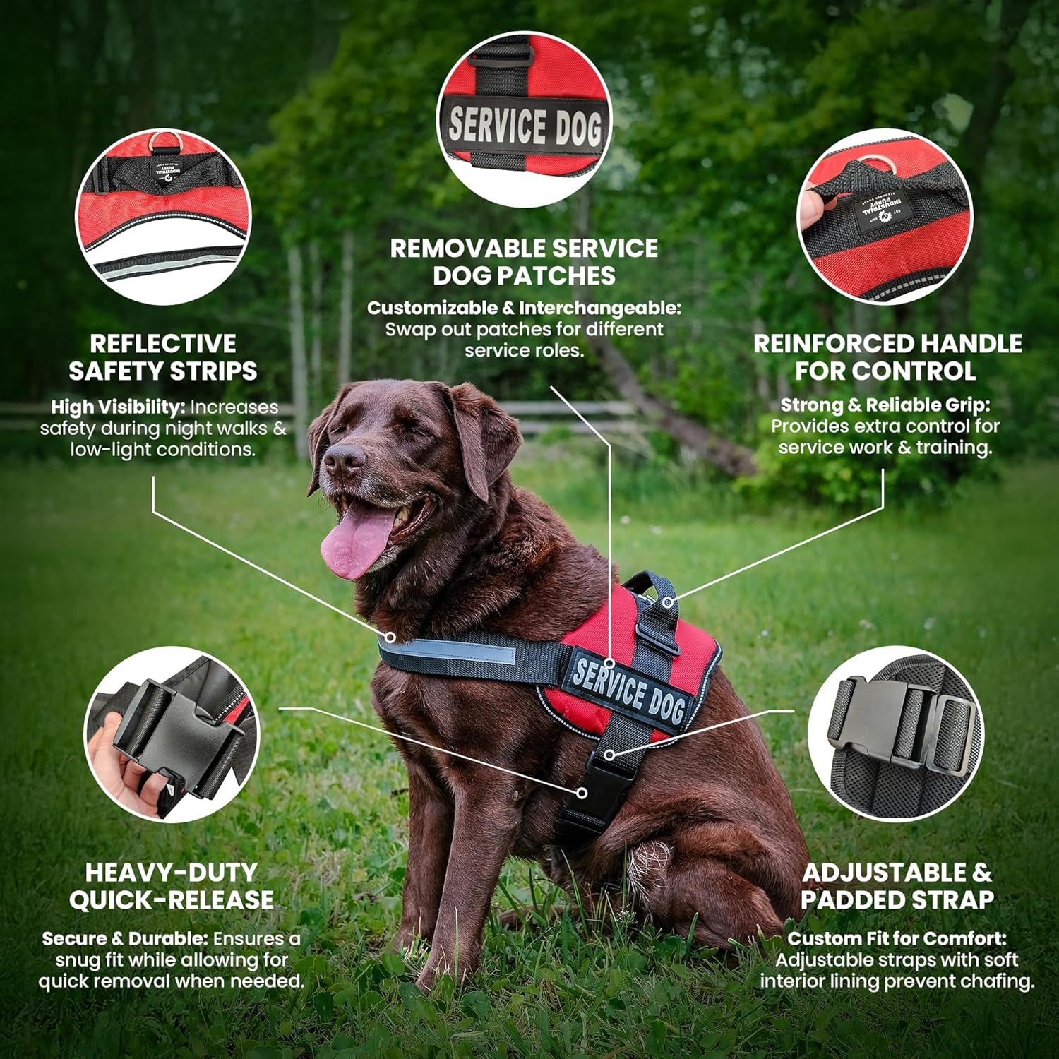 Service Dog Training Vest with Adjustable Hook and Loop Straps and Handle - Available in Sizes XXS to XXL - Features Reflective Patch and Comfortable Mesh Design