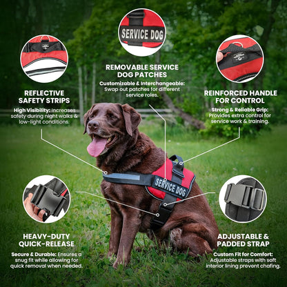 Service Dog Training Vest with Adjustable Hook and Loop Straps and Handle - Available in Sizes XXS to XXL - Features Reflective Patch and Comfortable Mesh Design