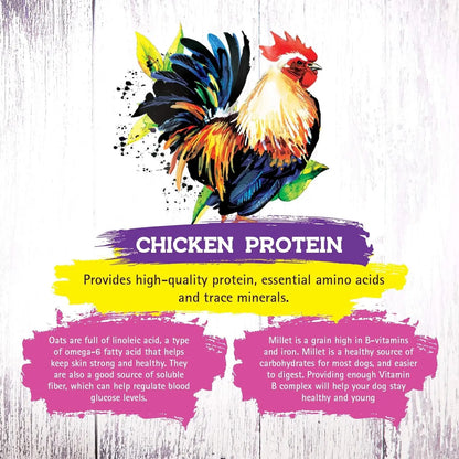 ® Chicken Recipe Dry Cat Food – Complete and Balanced, Meat-First, Legume-Free – 4 lb Bag