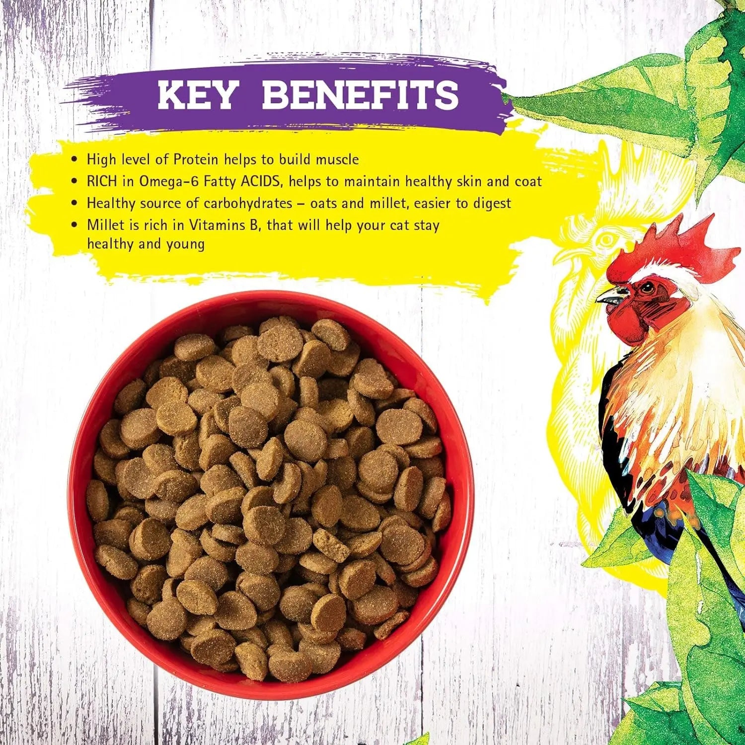 ® Chicken Recipe Dry Cat Food – Complete and Balanced, Meat-First, Legume-Free – 4 lb Bag