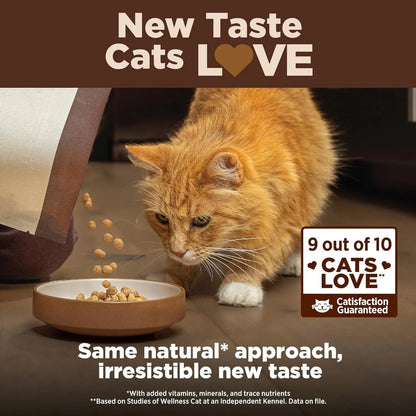 CORE+ Grain-Free Adult Dry Cat Food for Indoor Cats, Natural Chicken, Turkey & Chicken Meal, 5 lb Bag