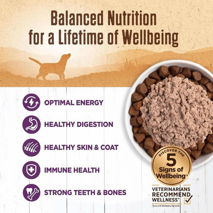 95% Chicken Grain-Free Natural Wet Dog Food, 13.2 Ounce Can (Pack of 12)