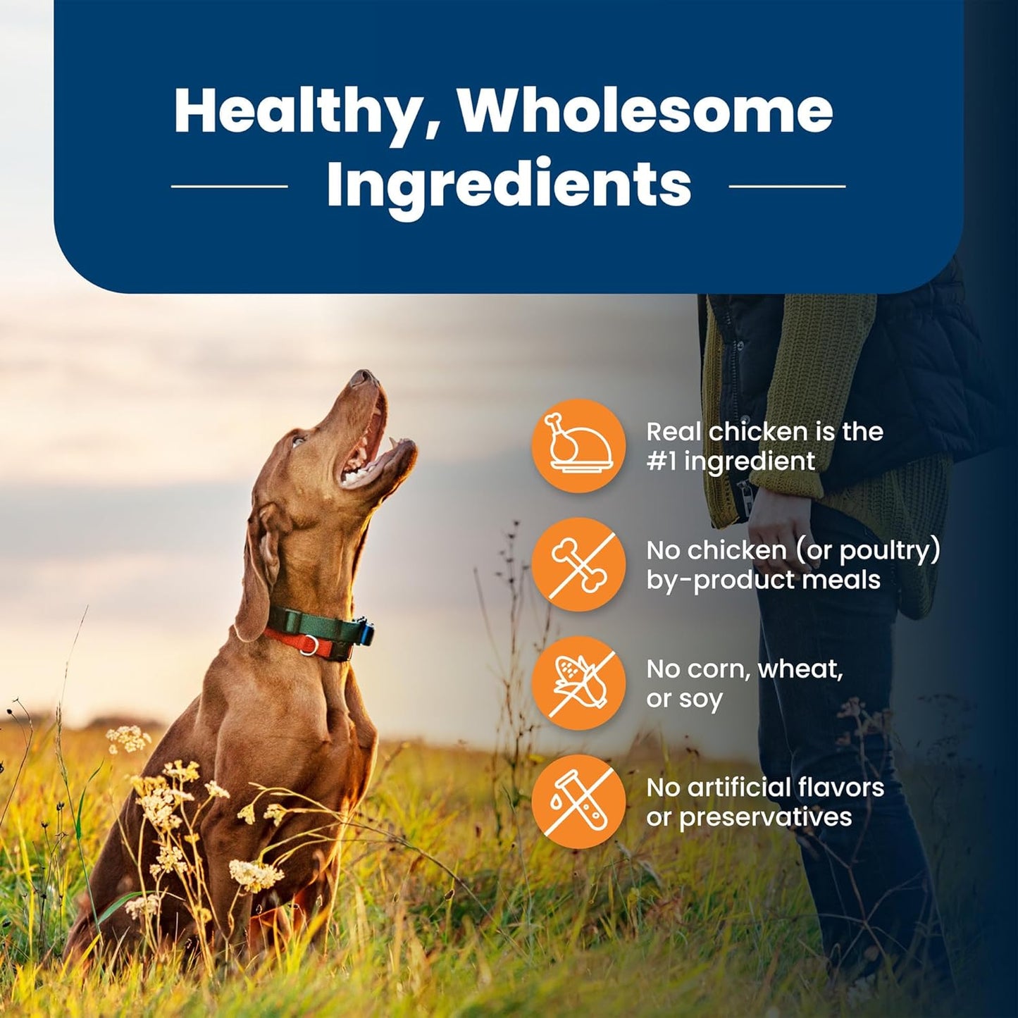 Life Protection Formula Large Breed Adult Dry Dog Food with Chicken & Brown Rice, 30 lb Bag - Supports Joint Health and Lean Muscle Development with Natural Ingredients