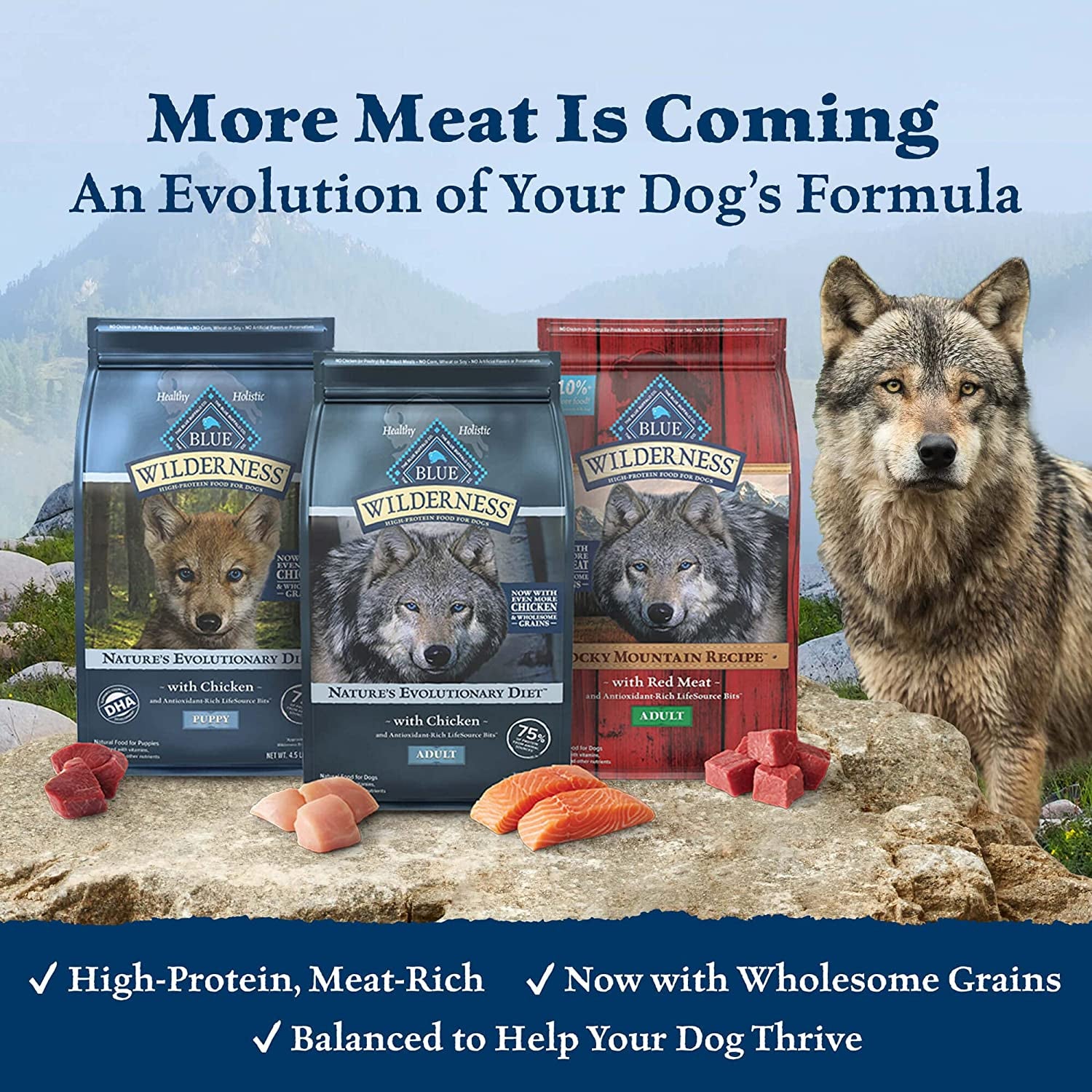 Wilderness High-Protein Natural Adult Dry Dog Food with Wholesome Grains, Chicken Flavor, 24 lb