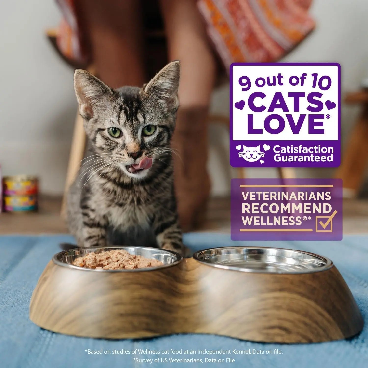 CORE Signature Selects Shredded Adult Wet Cat Food, Natural Protein-Rich Grain-Free, 2.8 Ounce, 12 Pack (Chicken & Turkey)