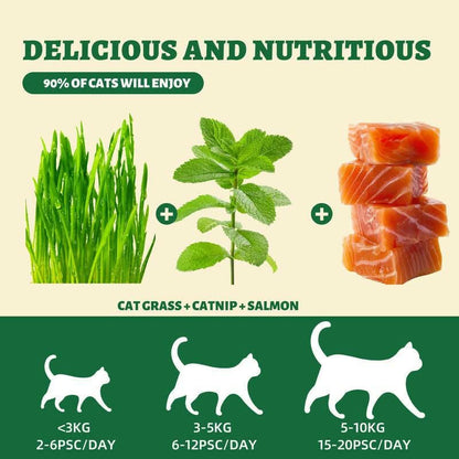 450G/16Oz Cat Grass Treats,Crunchy Cat Treats 9 Packs (50G Each),Natural Cat Grass Sticks &Cat Grass Teeth Cleaning Treats for Cat Training Rewards Box Pet Products