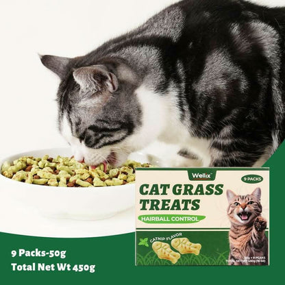450G/16Oz Cat Grass Treats,Crunchy Cat Treats 9 Packs (50G Each),Natural Cat Grass Sticks &Cat Grass Teeth Cleaning Treats for Cat Training Rewards Box Pet Products