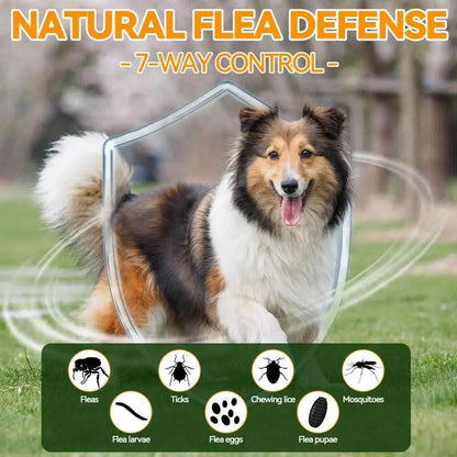 Carmelie Natural Flea & Tick Support for Dogs – 200 Chews, All Breeds & Sizes, Supports Healthy Skin & Coat with Omega-3, Puppy Flea Protection, Chicken Flavor Treats Poodle