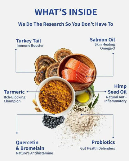 Daily 8 Multivitamin for Dogs - Probiotic for Dogs Itchy Skin - Allergy Chews for Dogs - 120 Chicken Flavor Chews with Salmon Oil & Quercetin - Dog Vitamin Supplement - Itch Relief Remedy