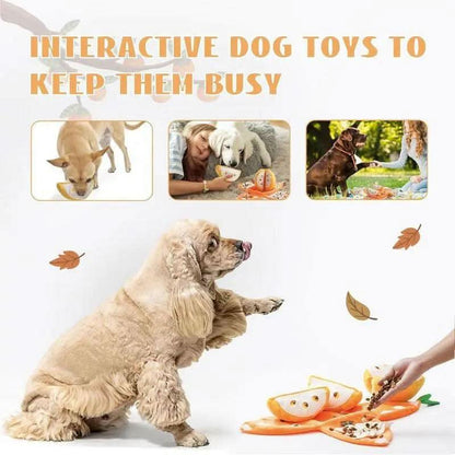 Nocciola 5-In-1 Orange Dog Enrichment Toys, 4 Orange Slices with a Peel Snuffle Mat for Treats Hunting Fun, Squeaky Hide and Seek Puzzle Dog Toy for Medium Dogs