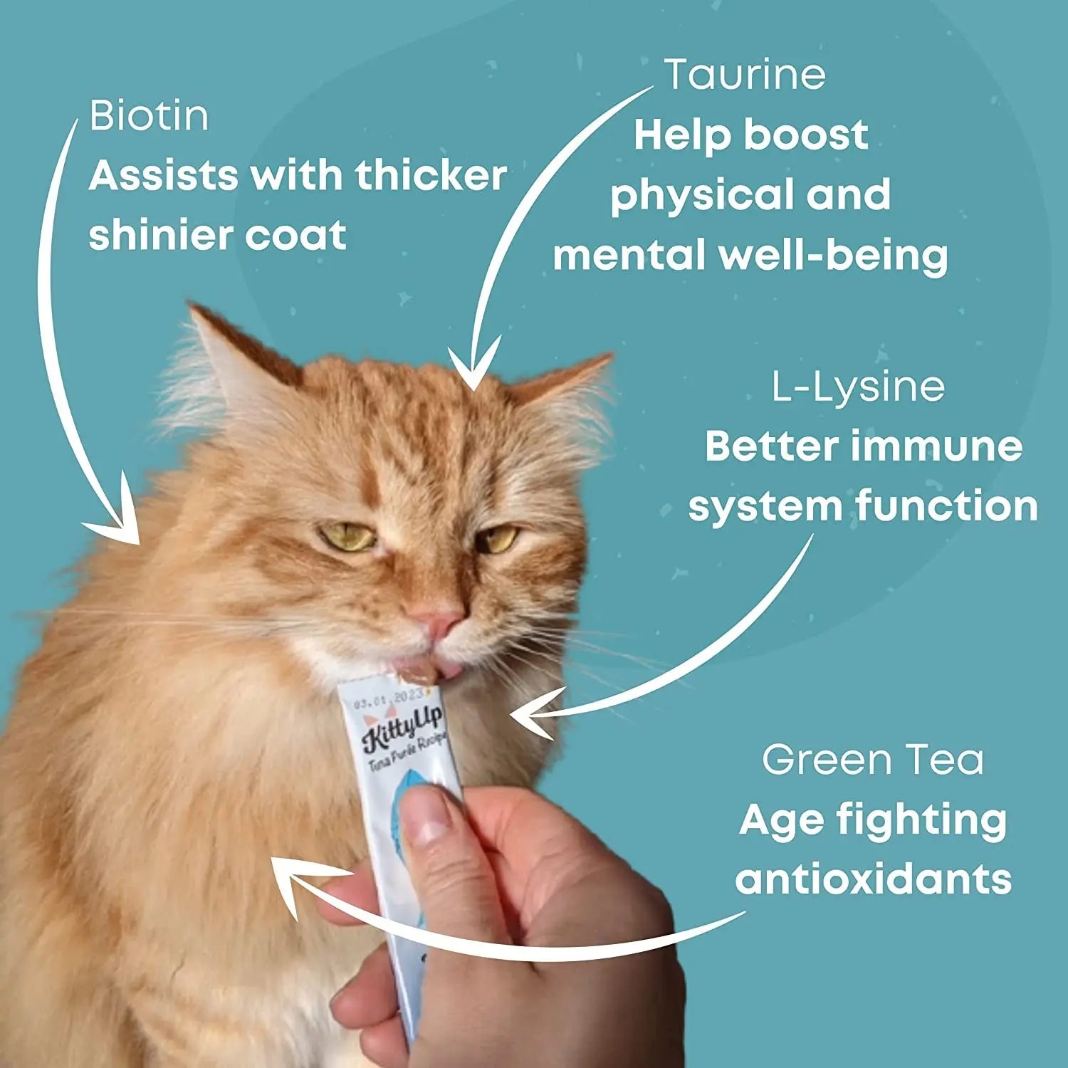 All-Natural Tuna Puree Treat Pouches for Indoor Cats - Soft Wet Cat Food for Kittens and Seniors - Limited Ingredient, Grain-Free, with Lysine and Taurine - 16 Tubes (0.5 oz each)