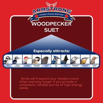 Armstrong Wild Bird Food Woodpecker Suet Cake, 10.6Oz (Pack of 12)