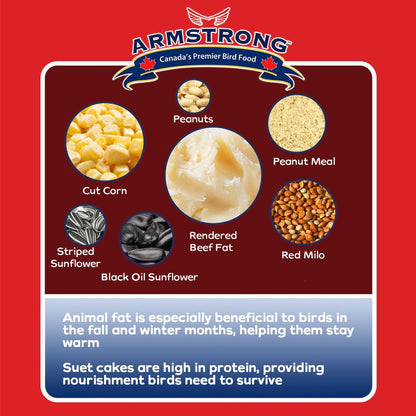 Armstrong Wild Bird Food Woodpecker Suet Cake, 10.6Oz (Pack of 12)
