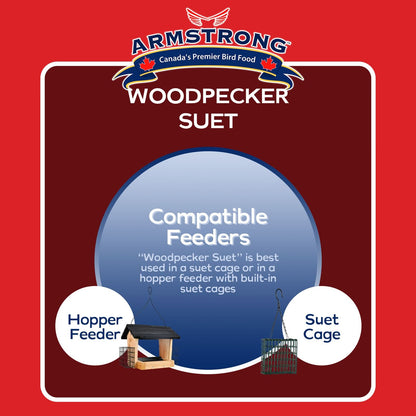 Armstrong Wild Bird Food Woodpecker Suet Cake, 10.6Oz (Pack of 12)