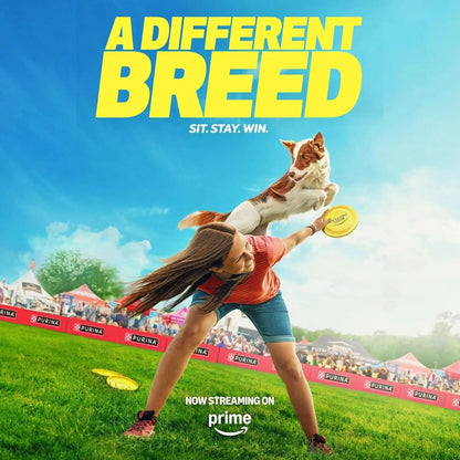 Classic Chicken and Rice Entrée Wet Puppy Food Pâté - Pack of 12 (13 oz. Cans)